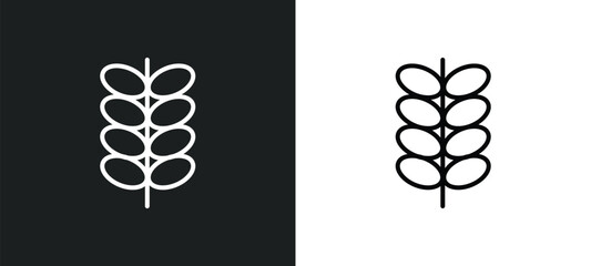 Wall Mural - briar leaf line icon in white and black colors. briar leaf flat vector icon from briar leaf collecti
