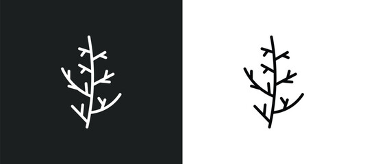 Wall Mural - cypress leaf line icon in white and black colors. cypress leaf flat vector icon from cypress leaf co
