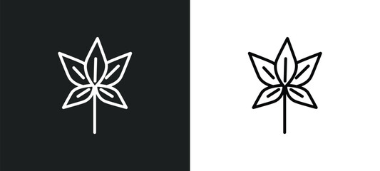 Wall Mural - chestnut leaf line icon in white and black colors. chestnut leaf flat vector icon from chestnut leaf