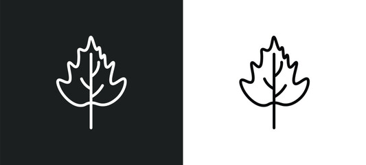 Wall Mural - hawthorn leaf line icon in white and black colors. hawthorn leaf flat vector icon from hawthorn leaf