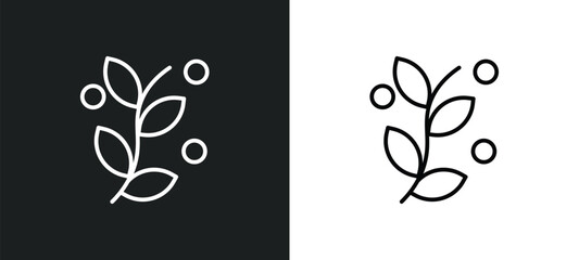 Wall Mural - botanical line icon in white and black colors. botanical flat vector icon from botanical collection 