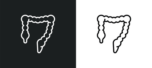 Wall Mural - colon line icon in white and black colors. colon flat vector icon from colon collection for web, mob