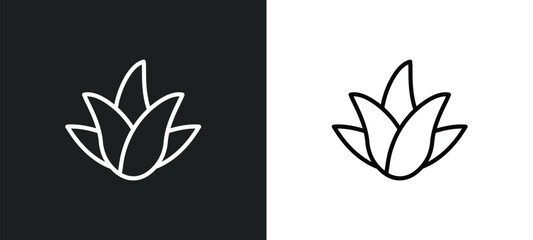 Wall Mural - aloe vera line icon in white and black colors. aloe vera flat vector icon from aloe vera collection for web, mobile apps and ui.