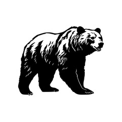 bear silhouette illustration