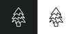 balsam fir tree line icon in white and black colors. balsam fir tree flat vector icon from balsam fir tree collection for web, mobile apps and ui.