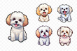 Maltese lap-dog. Funny toy dog stickers set. Very cute generative ai illustration of toy dog.
