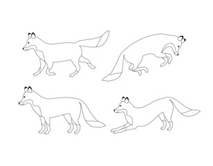 Canvas Print - Vector set of flat hand drawn outline fox isolated on white background