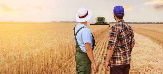 Wall Mural - Male farmers in wheat field, back view