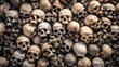 Pile of human skulls and bones