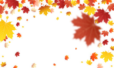 Wall Mural - autumn colored fall leaf texture on transparent background overlay. png illustration