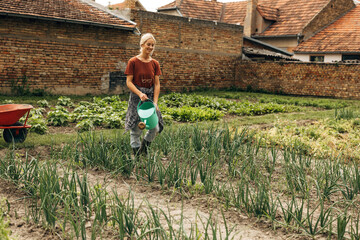 Blond woman watering vegetables n the garden.