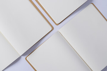 Canvas Print - Close up of open books with copy space on white background