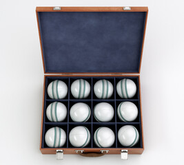 Wall Mural - Cricket Balls In Display Box