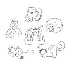 Wall Mural - Cute cats collection. Domestic funny kitties. Set of linear vector illustration isolated on white background.