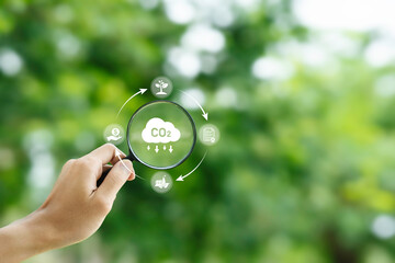 Wall Mural - Carbon credit or CO2 trading market. Carbon tradable certificates for buy-sell. Business and environment sustainable. industry and company Reduc of carbon emissions to Net zero greenhouse gas target.