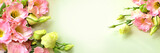 The bud of the eustoma flower. Close-up, soft focus. Banner