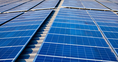 Wall Mural - Details of solar photovoltaic panels on the roof of the factory building