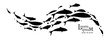 Black flock of swimming fish. Vector illustration