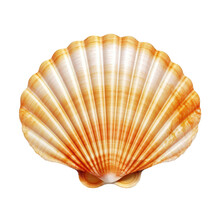 Scallop Shell Isolated On Cutout PNG Transparent Background. Marine Mollusk. Generative AI