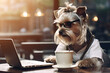 © Stock Love - Illustration of a business dog working on laptop in a cafe or coffee shop. Remote work concept. Beaver Yorkshire Terrier dog looking into computer working in glasses, shirt and tie. AI generated