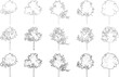 Tree elevation line silhouettes - maple tree