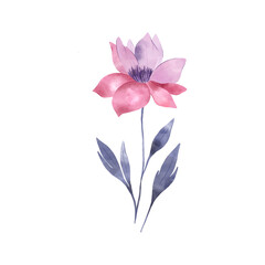 Wall Mural - Pink flower blossom isolated. Botanical design element. Decorative object