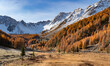 Orceyrette valley in autumn with golden larch trees and mountain peaks covered in fresh snow. Briancon Region in the Hautes-Alpes (French Alps). France