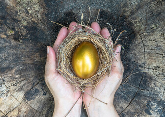 Golden egg opportunity, concept of wealth, a chance to be rich in investment success and retirement planning with egg in bird nest on old wood