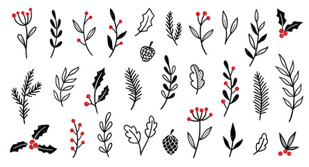christmas plant leaf, flower set. hand drawn doodle sketch holly floral, christmas tree leaves, wint