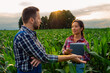 © DusanJelicic - Young multi-racial business partners in a cornfield, satisfied with progress, discuss future ventures and achievements.