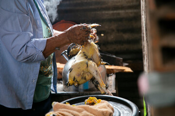 Poster - A woman plucking a chicken and cooking it in the Peruvian jungle.