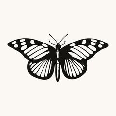 Canvas Print - Black and White Butterfly Illustration