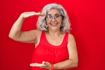 Sticker - Middle age woman with grey hair standing over red background gesturing with hands showing big and large size sign, measure symbol. smiling looking at the camera. measuring concept.