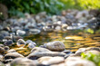 © Z Fiedler - Stones in a small river in the morning