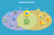 3D Isometric Flat Vector Conceptual Illustration of Immune Response, Cells of The Immune System
