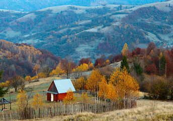 Canvas Print - lonely house in the mountains. Yellow birch near it and the fence.