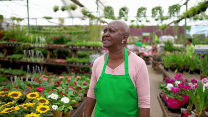 Wall Mural - One black older female employee walking at Flower Shop wearing green apron. An African American woman strolling through plant store