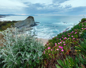 Poster - Spring sunset sea rocky coast landscape with small sandy beach  and pink flowers in front (Arnia Beach, Spain, Atlantic Ocean).