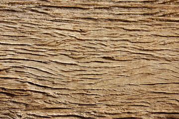 Wall Mural - Texture - old wooden boards of brown colors