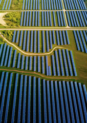 Wall Mural - solar panels plant, aerial view - rows of photovoltaic cell collectors on a landscape. green energy 