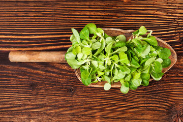 Canvas Print - Fresh green field salad on wooden spoon on old wooden vintage background. Fresh salad, rustic vintage country style image.