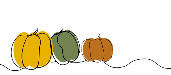 Ripe pumpkins of different colors in line art style, banner with copy space on white background, concept of happy halloween, autumn harvest, halloween. Design of advertisements, flyers, invitations