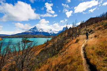 family of two, father and son, enjoying hiking and active travel in torres del paine national park in patagonia, chile, view of cuernos del paine and pehoe lake