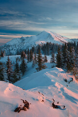 Poster - Carpathian mountains in winter, sunrise and sunset, trees covered with white snow, dramatic sky