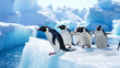 A group of penguins in search of food. Habitat reduction. Concept of climate change, lack of ice, and global warming. Antarctic landscape. Banner
