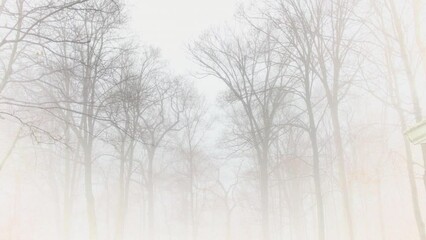 Wall Mural - watching winter fog on backyard through the window in February