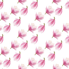 Canvas Print - watercolor blooming magnolia seamless pattern isolated on white background