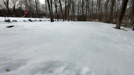 Wall Mural - garden backyard covered with snow after the snowstorm in February