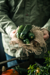 Canvas Print - Organic vegetables on wood. Farmer holding harvested vegetables. Rustic setting