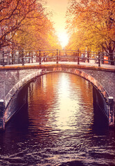 Poster - Bridge over channel in Amsterdam Netherlands autumn urban landscape with yellow tree on bank river sunny day old european town.